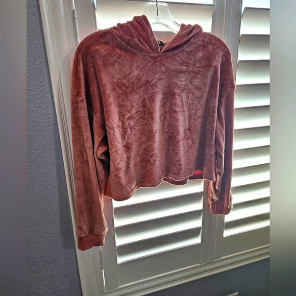 Othr Tops - BBJ New York Velvet Hooded Sweatshirt in Rose size medium
